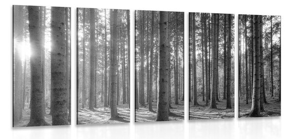 5-dílný obraz ráno v lese v černobílém provedení