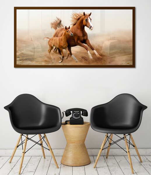 Obraz Hnědé Koně na zrcadle Mirrora 39 - 50x100 cm (Obrazy Mirrora)