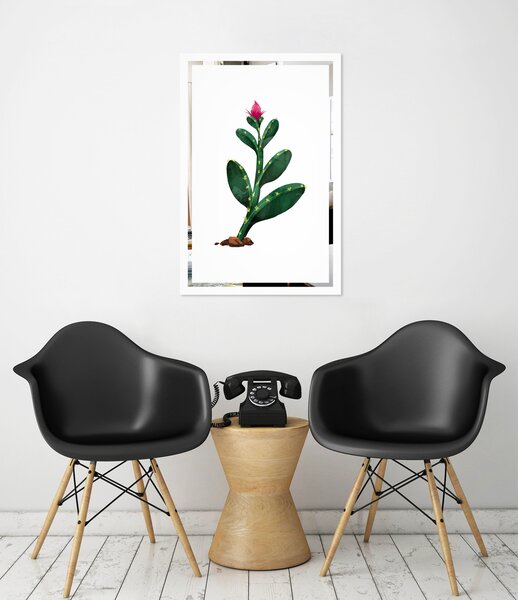 Obraz Kaktus na zrcadle Mirrora 65 - 60x40 cm (Obrazy Mirrora)