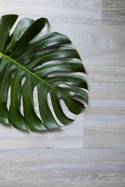 PVC Podlaha Xtreme - Havana Oak 696L (2 m)