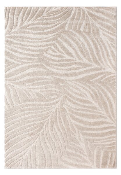 Koberec Velora beige 160x230 cm