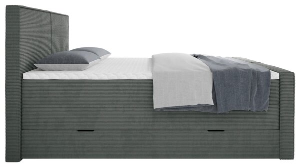 POSTEL BOXSPRING, 160/200 cm, šedá Livetastic - Postele s úložným prostorem, Online Only