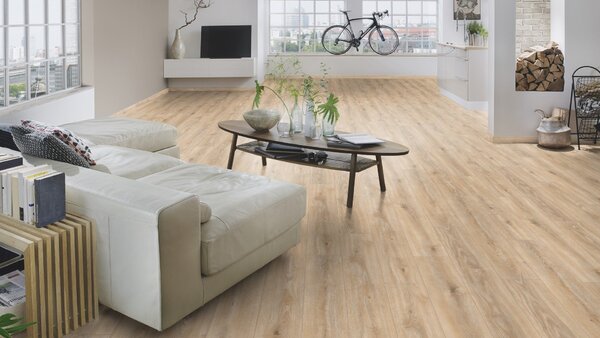 Krono Original 2024 Atlantic 8 Dub Tortilla K469