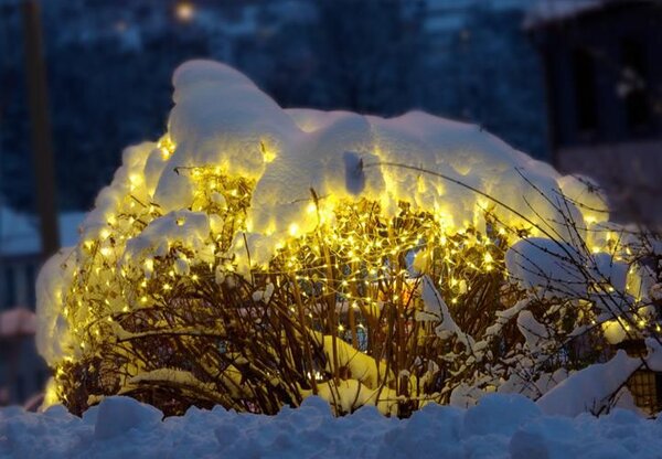 DiLED světelná síť 100 LED, teple bílá, bez trafa