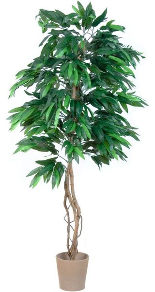 PLANTASIA 1429 Umělá rostlina strom, mango, 180 cm