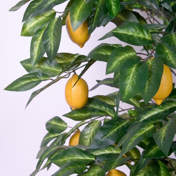 PLANTASIA Umělá květina citronovník, 184 cm