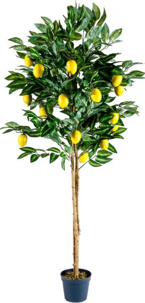 PLANTASIA Umělá květina citronovník, 184 cm