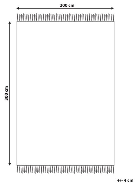 Koberec GHUKASAVAN Pestrá 200 x 300 cm Vlna Kelim