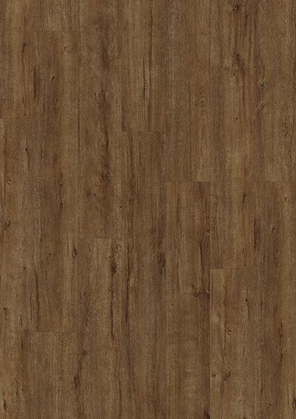 Krono Original 2024 Super Natural Dub Fawn Apollo K635