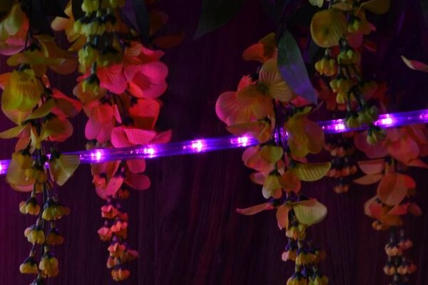 LED světelný kabel 240 diod, 10 m, růžový