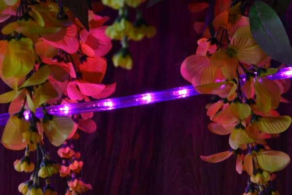 LED světelný kabel 240 diod, 10 m, růžový