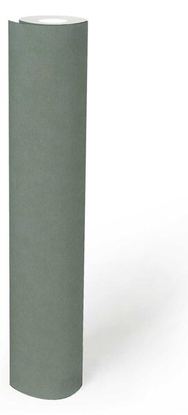 A.S. Création | Vliesová tapeta na zeď French Affair 39938-7 | 0,53 x 10,05 m | zelená