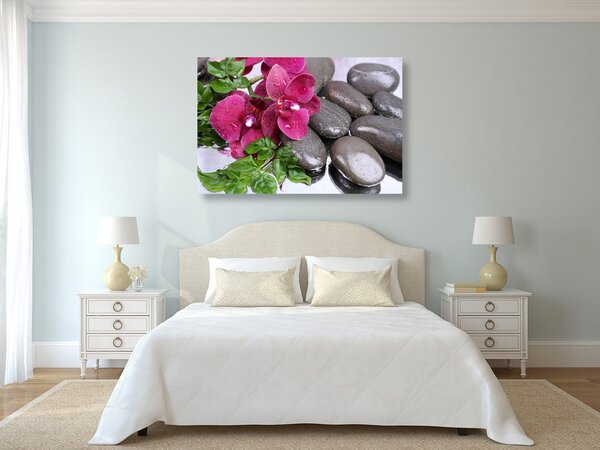 Obraz kvetoucí orchidej a wellness kameny