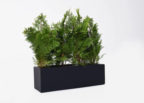 Truhlík FLOBO, sklolaminát, šířka 60 cm, antracit