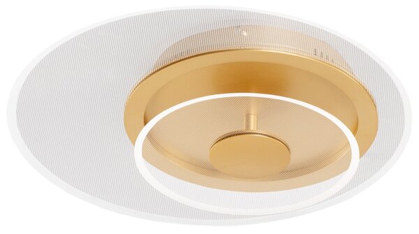 Zlaté kovové stropní LED světlo Nova Luce Copo 40 cm