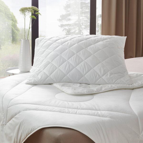 POLŠTÁŘ, 70/90 cm Sleeptex - Polštáře pod hlavu