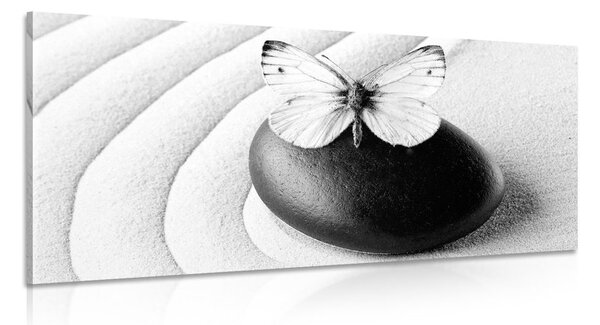 Obraz Zen kámen s motýlem v černobílém provedení