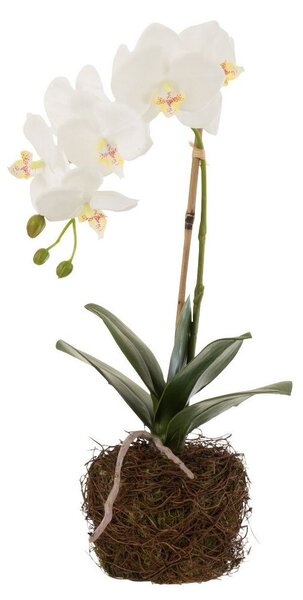 Dekorace umělá květina Orchidej s kořeny a mechem - 23*17*40 cm - J-Line by Jolipa