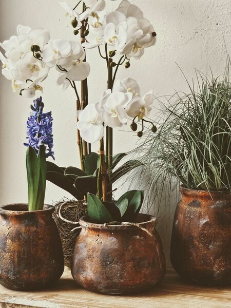 Dekorace umělá květina Orchidej s kořeny a mechem - 23*17*40 cm