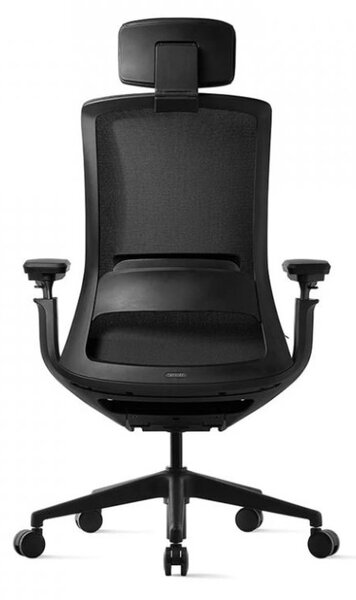 Kancelářská ergonomická židle ROLY BLACK - síťovina Černá