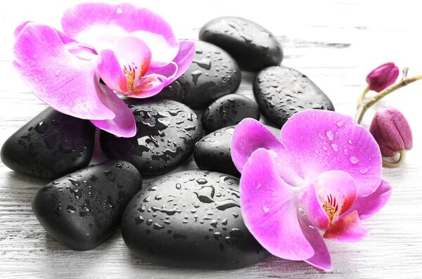 Obraz krásná souhra kamenů a orchideje