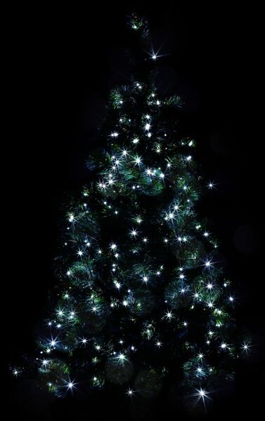 VOLTRONIC Vánoční řetěz 5 m, 50 LED, studeně bílý, ovladač