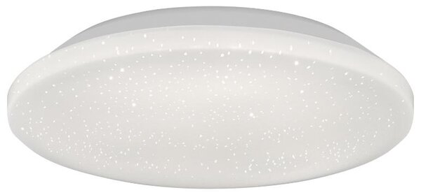 Livarno® Nástěnné stropní svítidlo (kulatá) (100409487001)