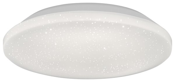 Livarno® Nástěnné stropní svítidlo (kulatá) (100409487001)