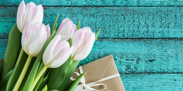 Obraz kytice tulipánů a obálka