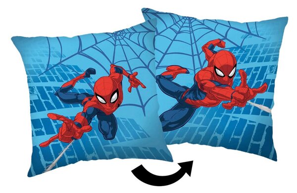 DEKORAČNÍ POLŠTÁŘ 40/40 cm - Dekorační polštáře