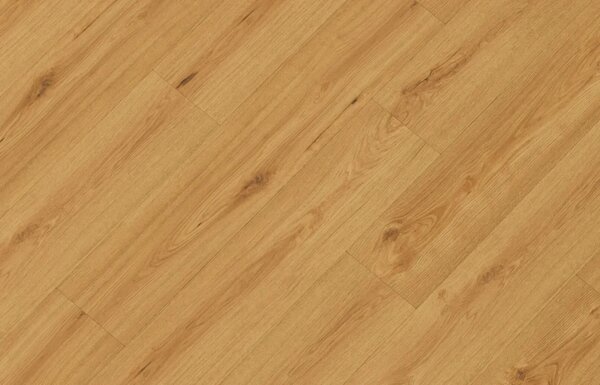 Republic Dryback LVT Clapback 010, 4,44m2