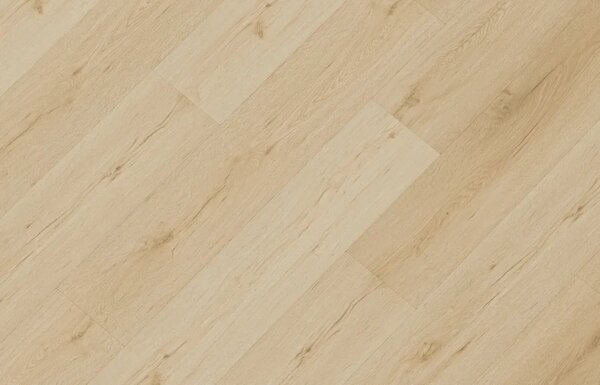 Republic Dryback LVT Squad 009, 4,44m2