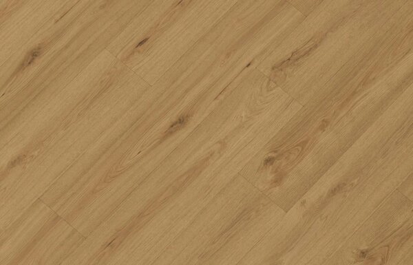 Republic Dryback LVT Highkey 007, 4,44m2