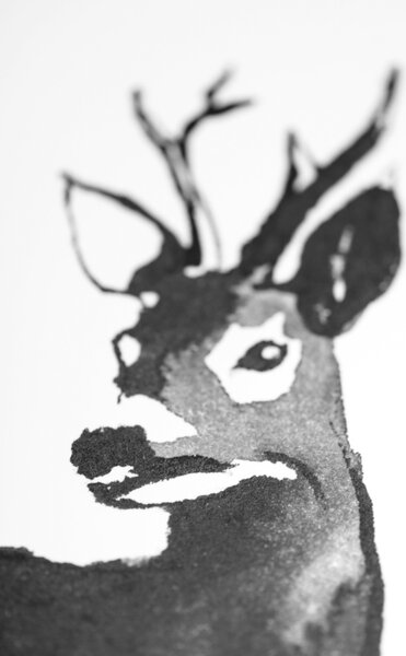 Teemu Järvi Plakát s motivem srnce Roe Deer 50x70