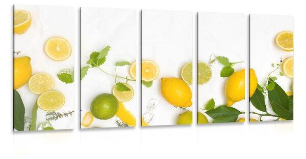 5-dílný obraz směs citrusových plodů