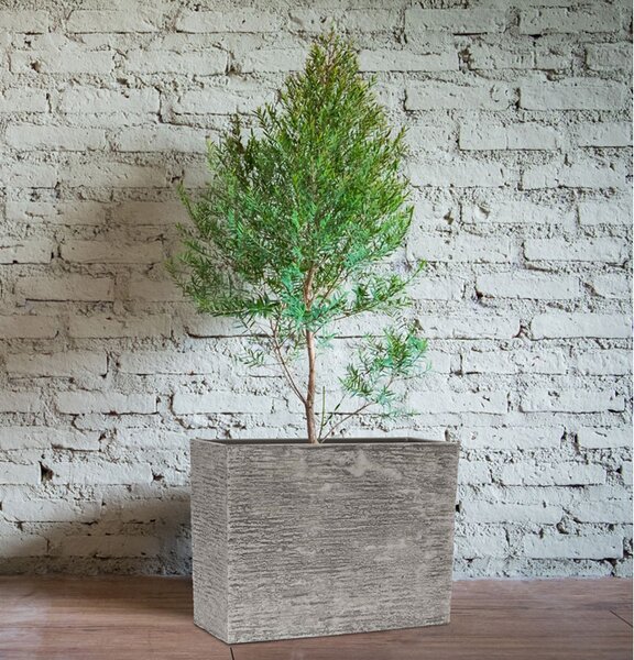 Květináč G21 Natur Box 60 x 25 x 45 cm