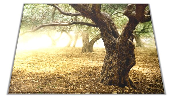 Skleněné prkénko strom olivovník - 30x20cm