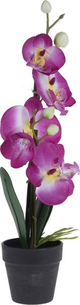 Orchidej v květináči růžová, 38 cm