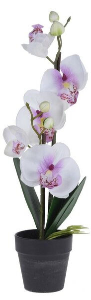 Orchidej v květináči bílá, 38 cm