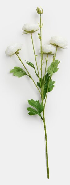 Sinsay - Dekorační rostlina - pivoňky - bílá