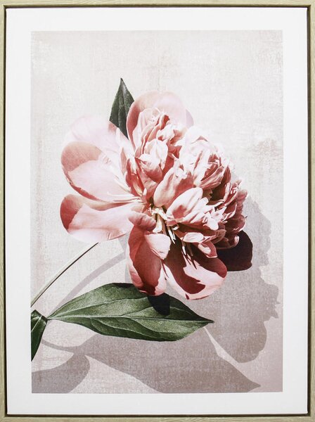 UMĚLECKÝ TISK, květiny, 45/60 cm Monee - Umělecký tisk