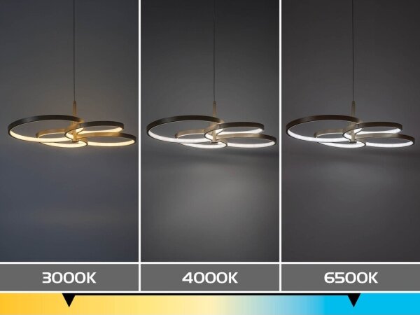 Rabalux 72401 - LED Stmívatelný lustr na lanku ISIDORA 70W/230V 3000-6500K+DO
