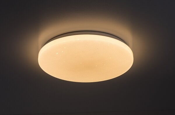 Rabalux 71445 - LED Stm stropní sv DANNY 2 LED/22W/230V 3000-6500K pr. 33 cm+DO