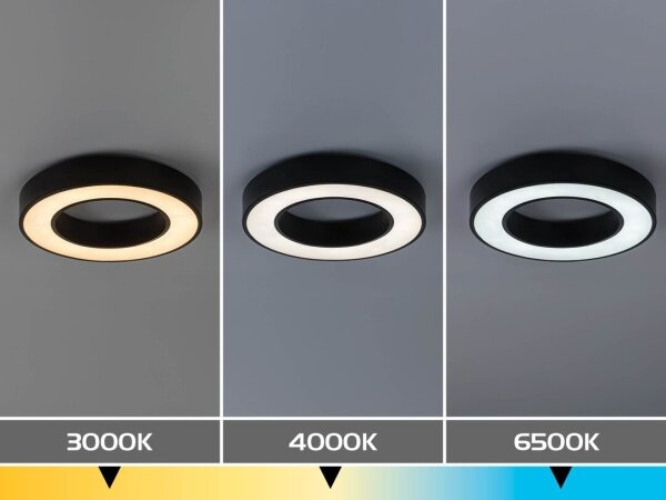 Rabalux 71360 - LED Stropní sv CIRANO LED/24W/230V 3000/4000/6500K pr.40cm černá