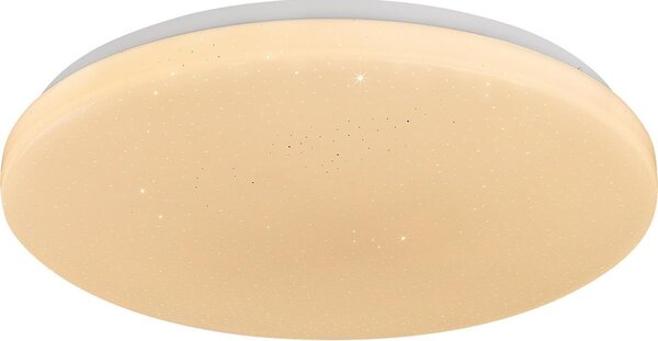Rabalux 71445 - LED Stm stropní sv DANNY 2 LED/22W/230V 3000-6500K pr. 33 cm+DO