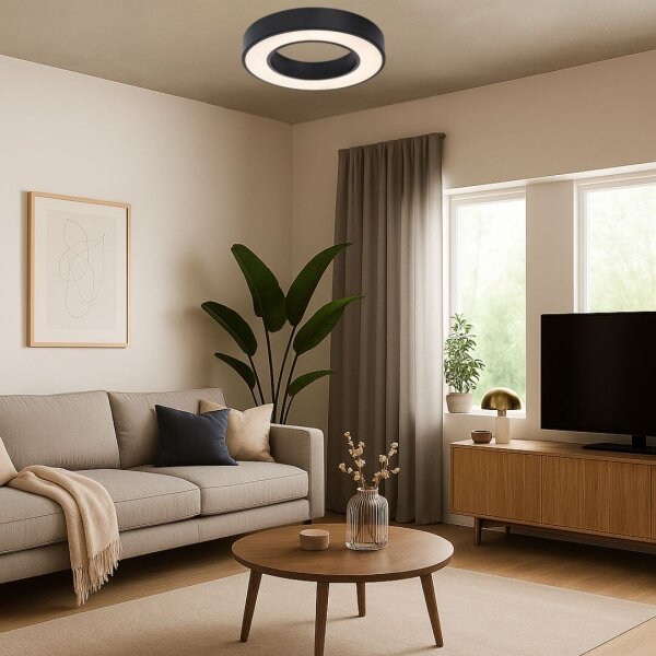 Rabalux 71360 - LED Stropní sv CIRANO LED/24W/230V 3000/4000/6500K pr.40cm černá