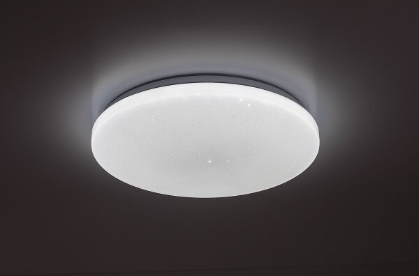 Rabalux 71445 - LED Stm stropní sv DANNY 2 LED/22W/230V 3000-6500K pr. 33 cm+DO