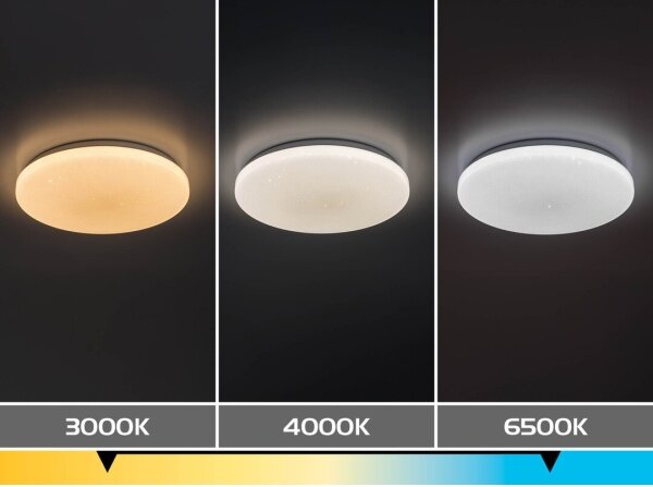 Rabalux 71445 - LED Stm stropní sv DANNY 2 LED/22W/230V 3000-6500K pr. 33 cm+DO