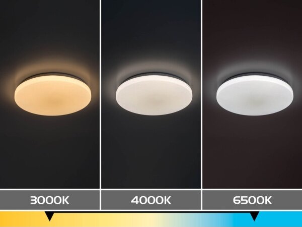 Rabalux 71442 - LED Stm stropní sv DANNY 2 LED/34W/230V 3000-6500K pr. 38 cm+DO