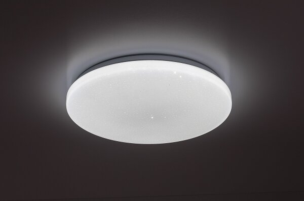 Rabalux 71444 - LED Stm stropní sv DANNY 2 LED/12W/230V 3000-6500K pr. 26 cm+DO